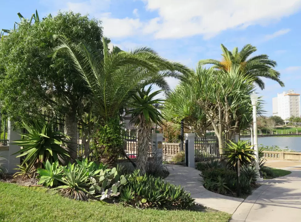 Side entrance into Hollis Garden, with lots of tropical plants!