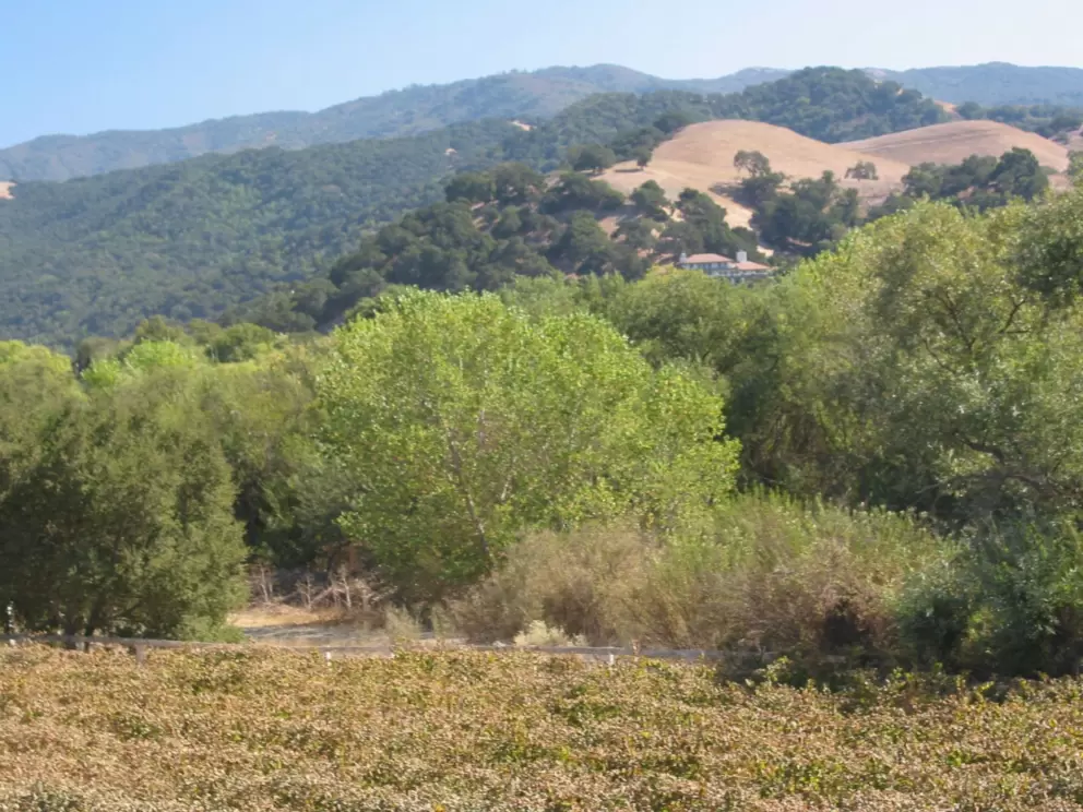 Views from Sunstone Winery.