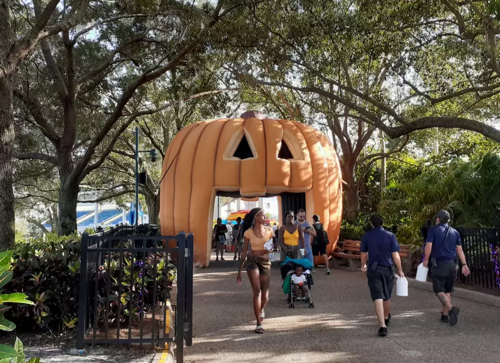 Pumpkin to walk through at Halloween.