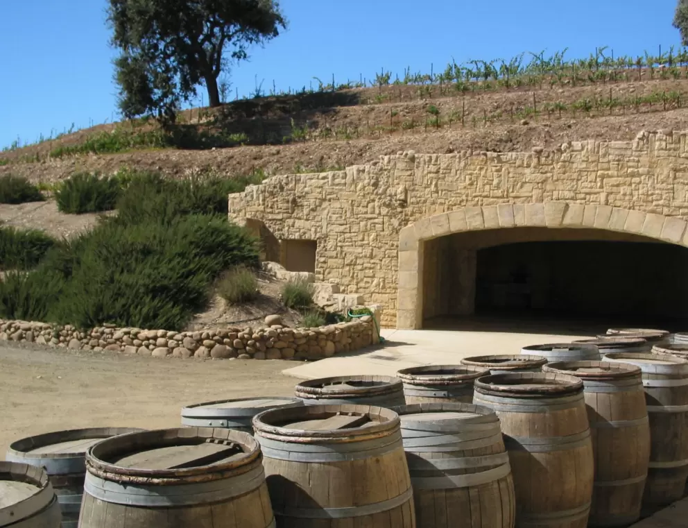 View behind the winery.