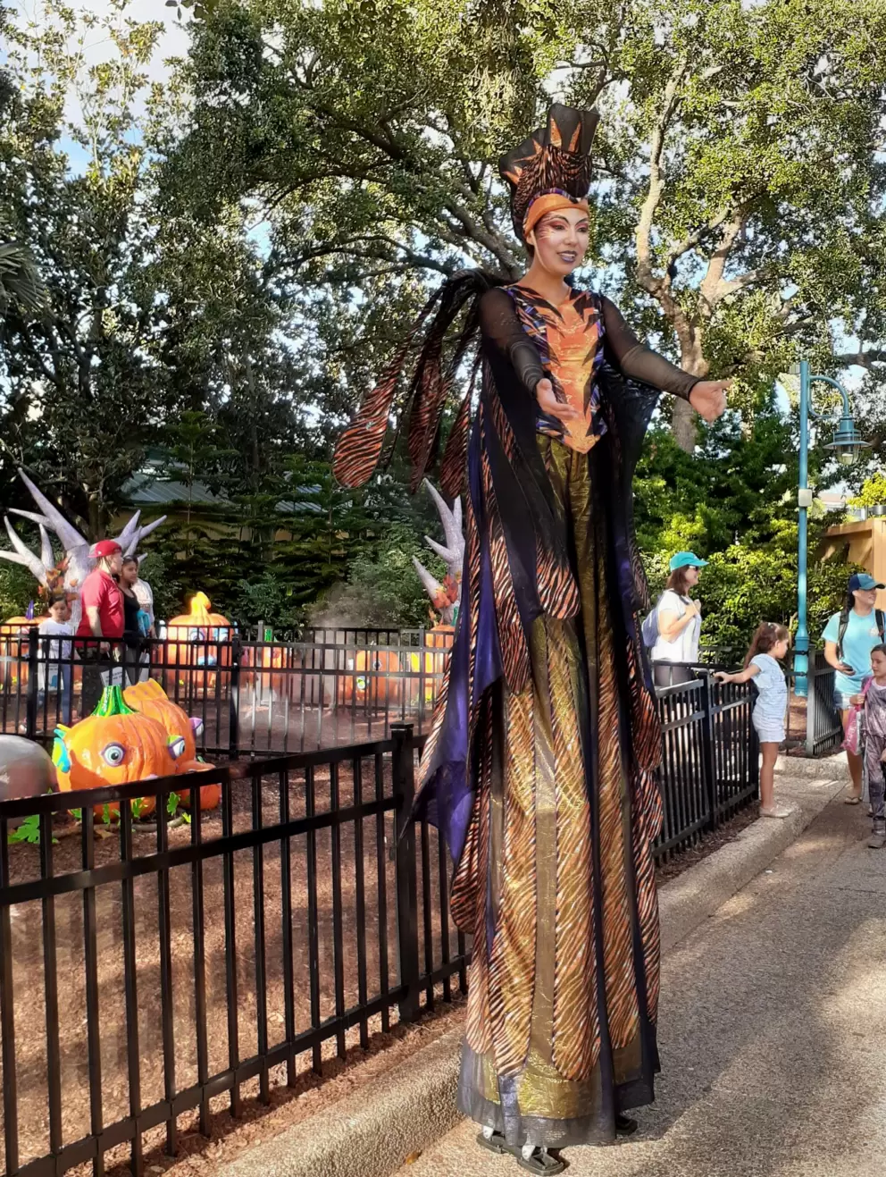 Stilt-walking lady, at Halloween time.