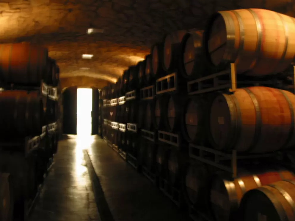 The cellar. 