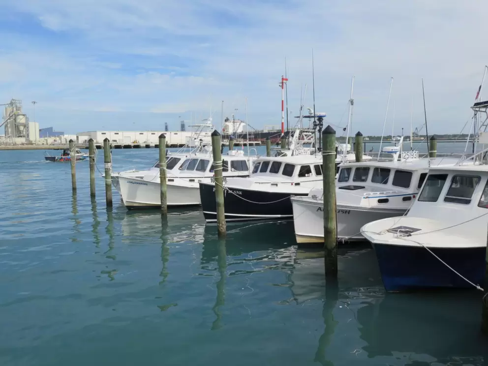 Boats docked at The Cove.