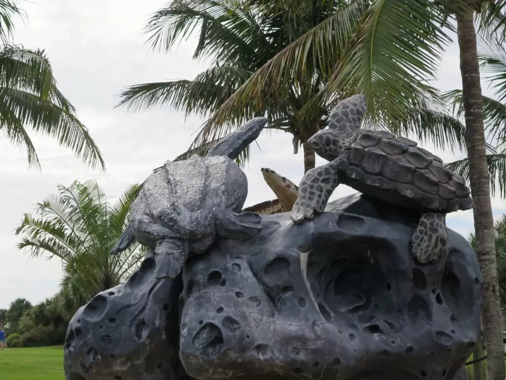 Turtle sculpture.
