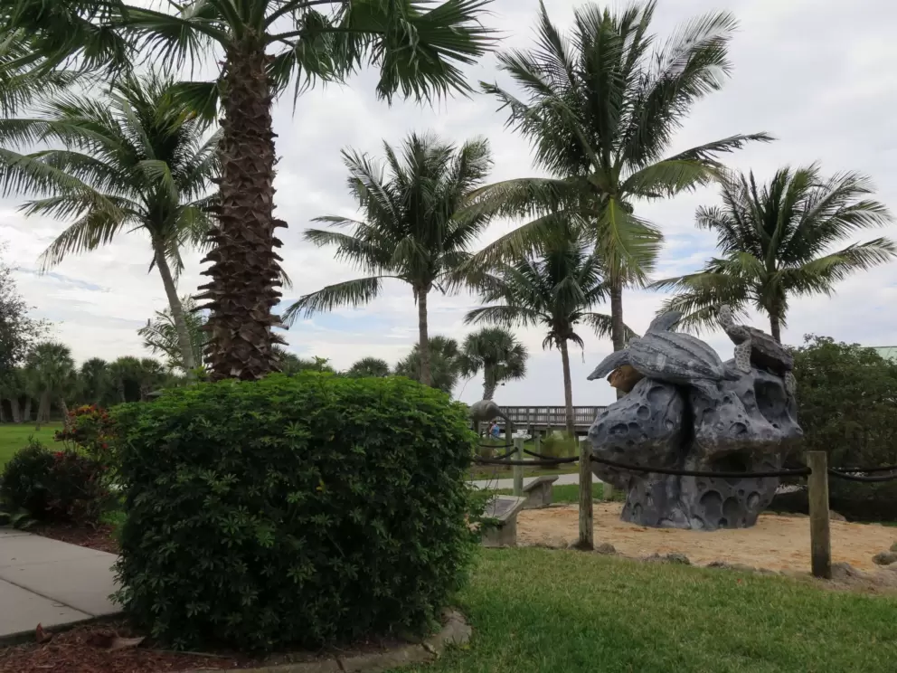 The turtle sculpture and shimmering palms.