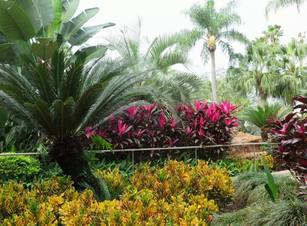 I love the landscaping at SeaWorld!