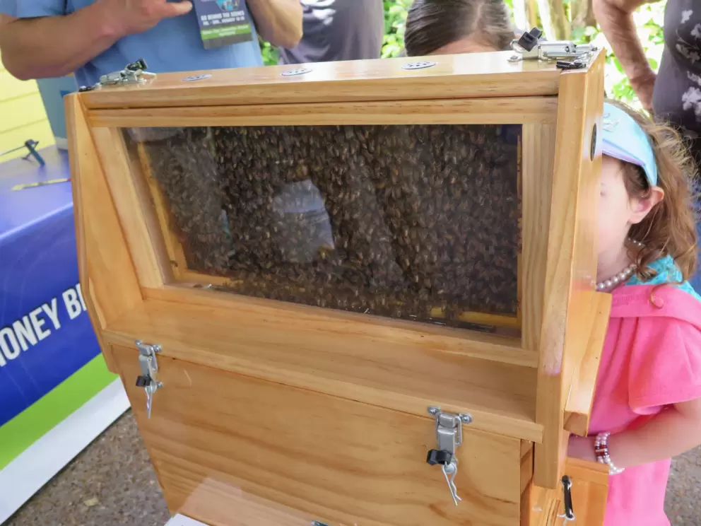 SeaWorld has bee hives and they use the honey on wounds if their sea creatures are hurt.