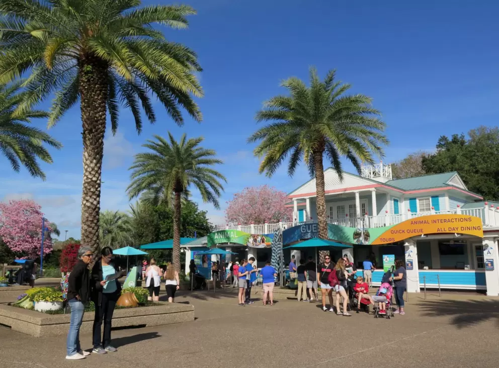 Colorful architecture and canary palms.