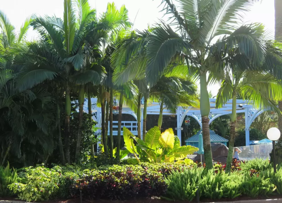 I love the tropical look at SeaWorld!!