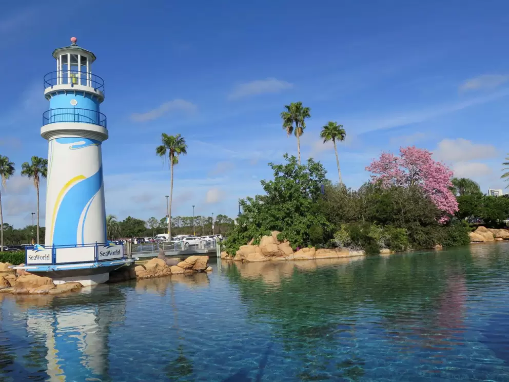 The lighthouse and a pink tree, near the entrance in January.
