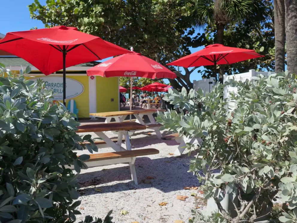 Silvery plants, white sand, and red umbrellas at Paradise Grille.