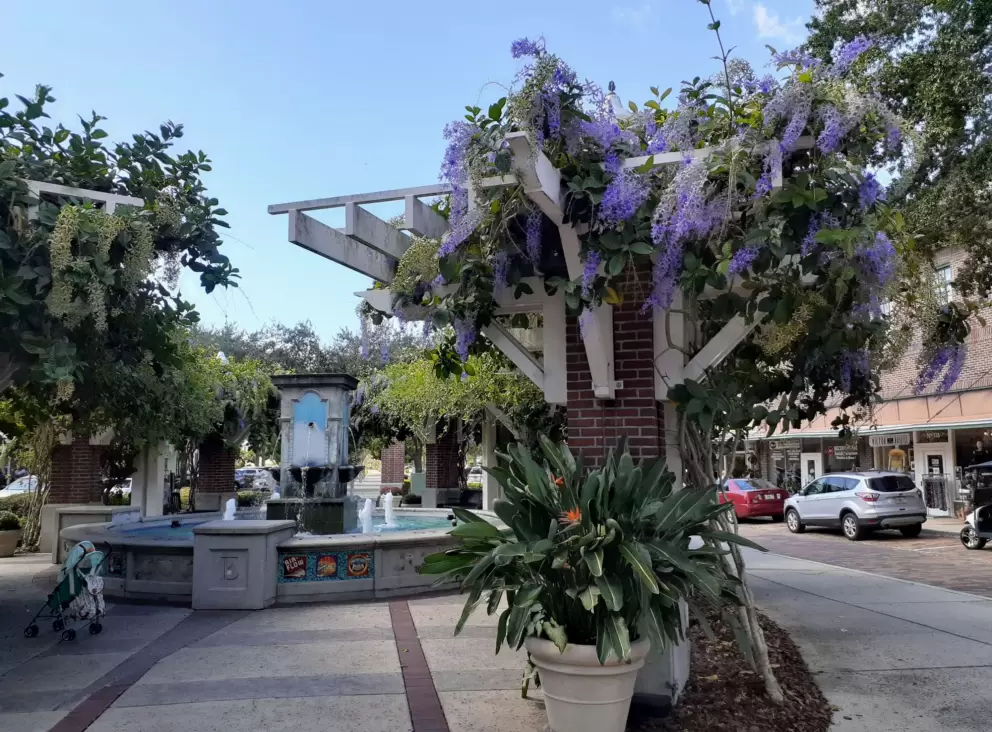 Fountain and wisteria.