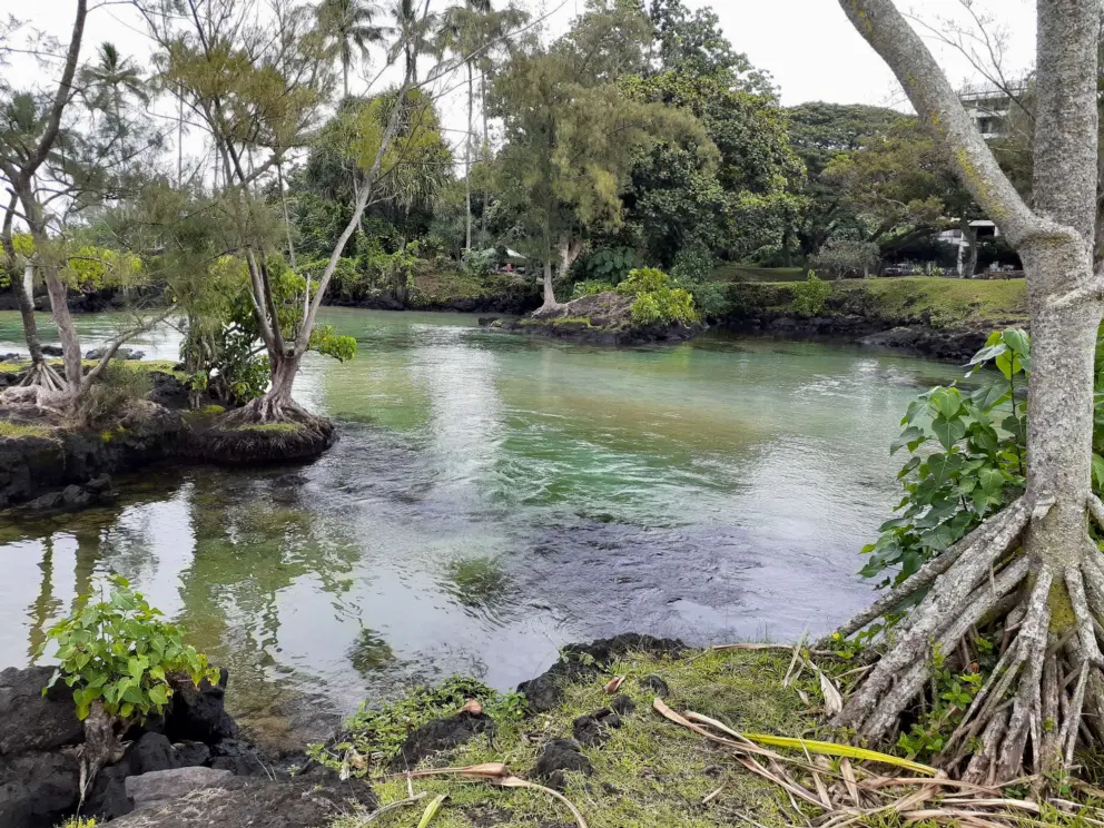 Carlsmith Beach Park is a natural spring.