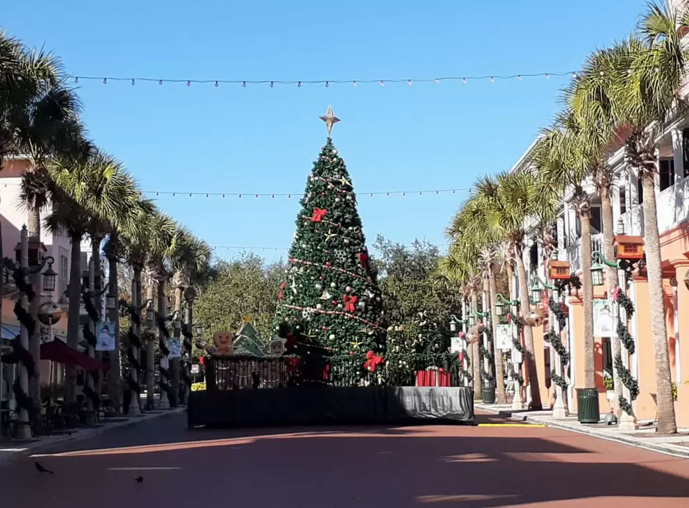 The Christmas tree on Market Street.