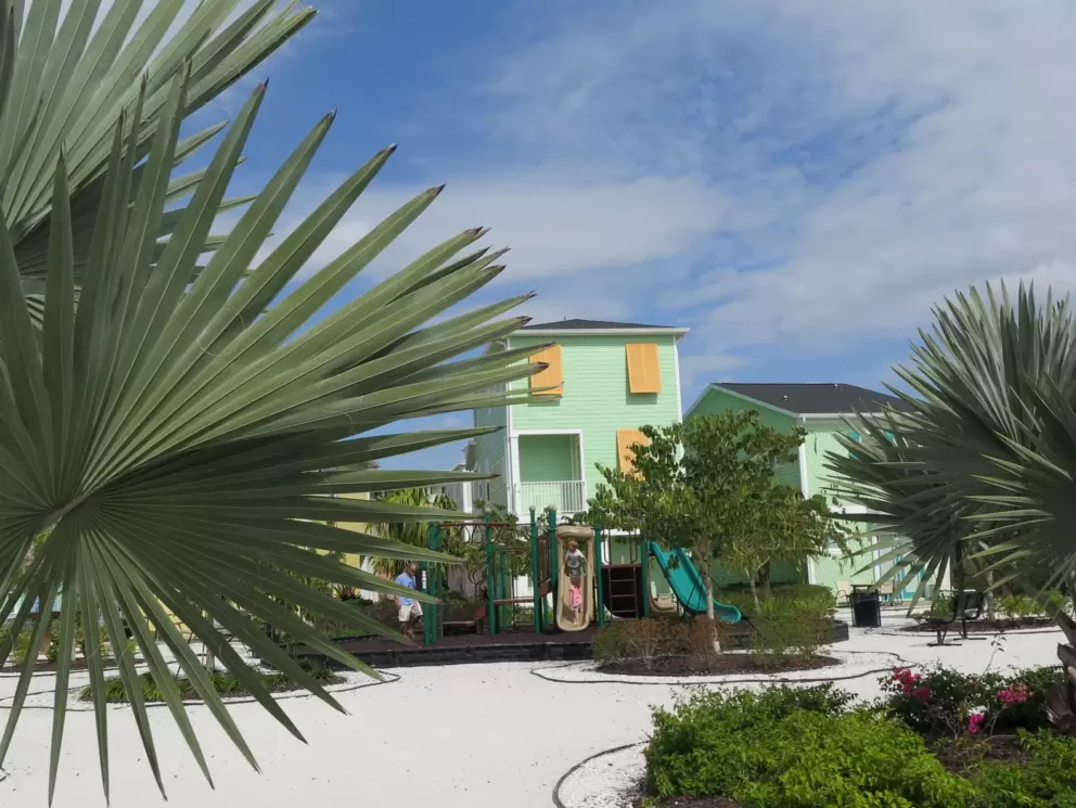 Silvery palms, blue sky, and mint green cottage.
