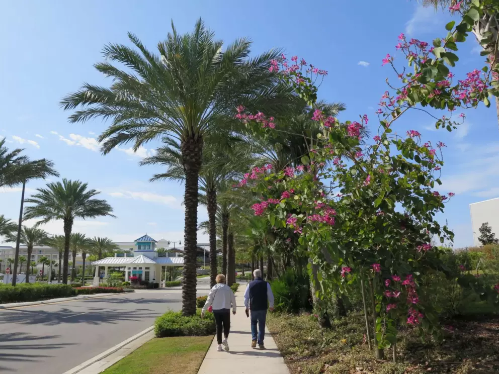 The walkway that leads between the resort and the shops.