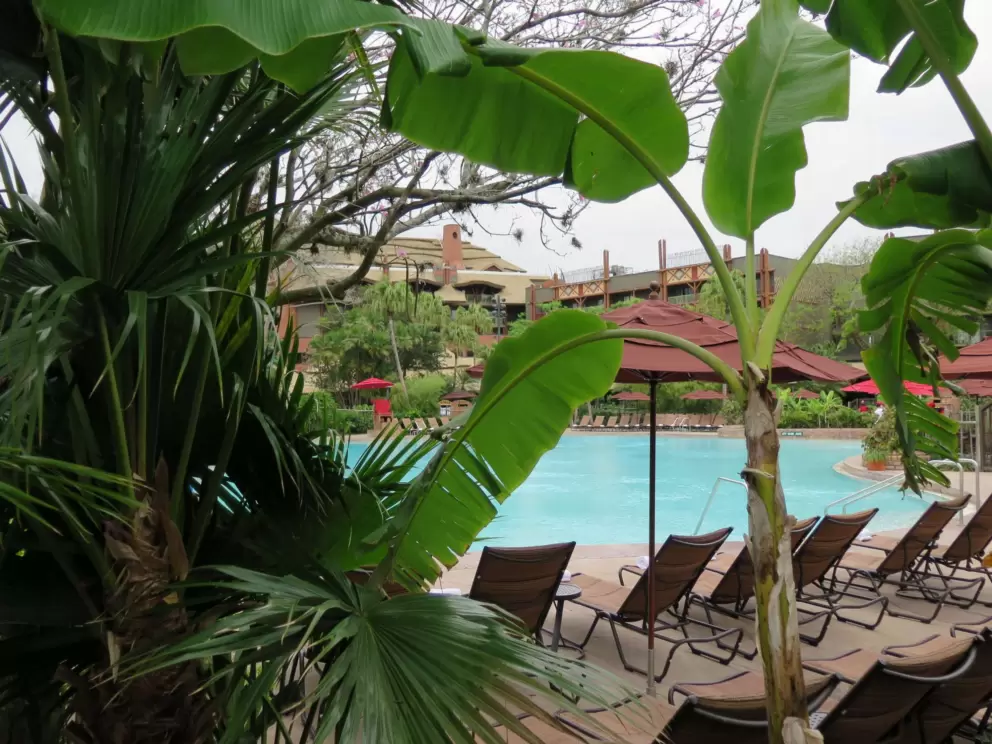 Pool and banana tree.