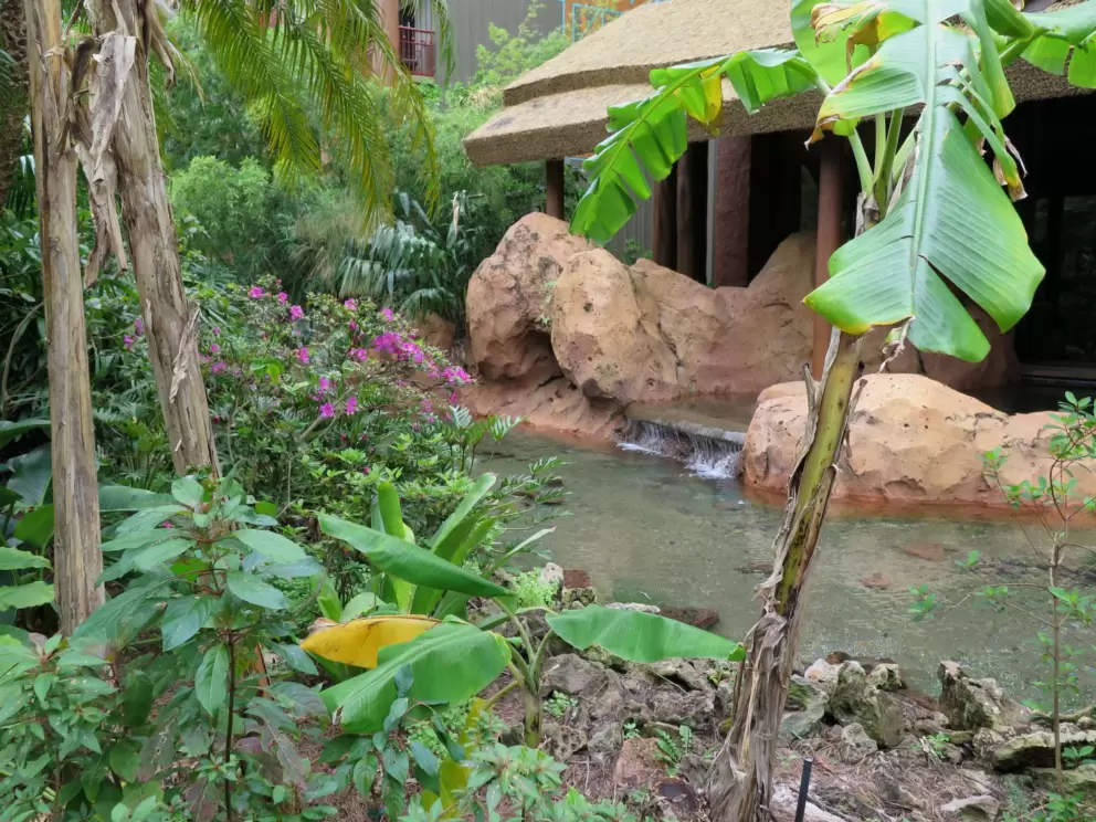Little fountain with banana tree and azalea flowers.