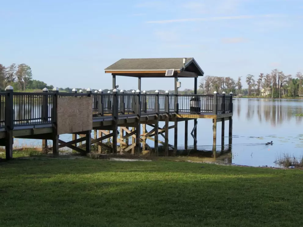Gazebo and duck.