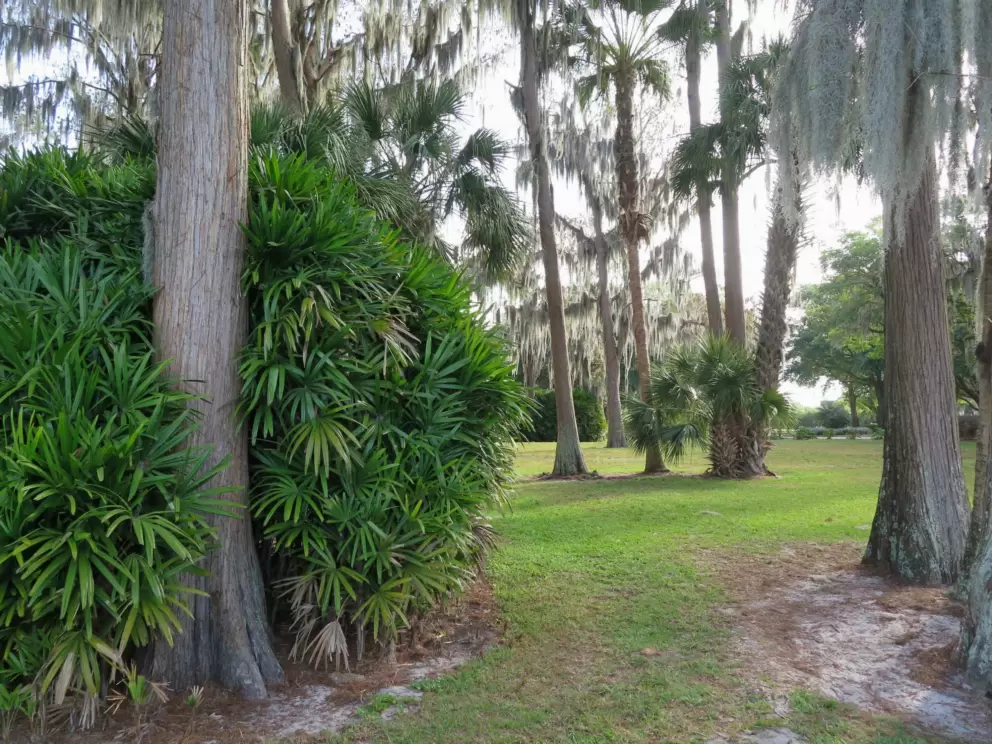 Cypress Grove Park, South Orlando