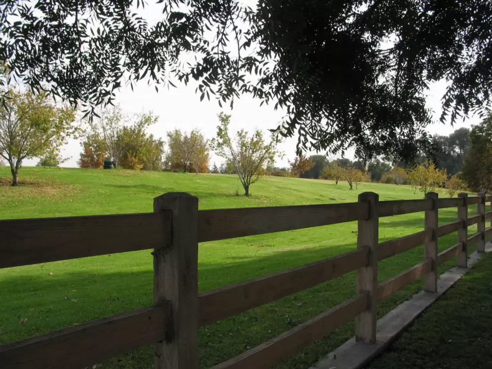 A bucolic scene in the middle of LA...Balboa Blvd, where you can park your car. 