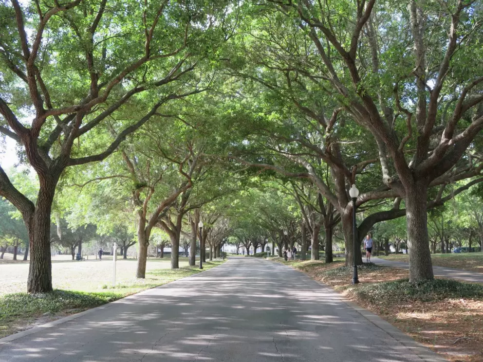 Cypress Grove Park, South Orlando