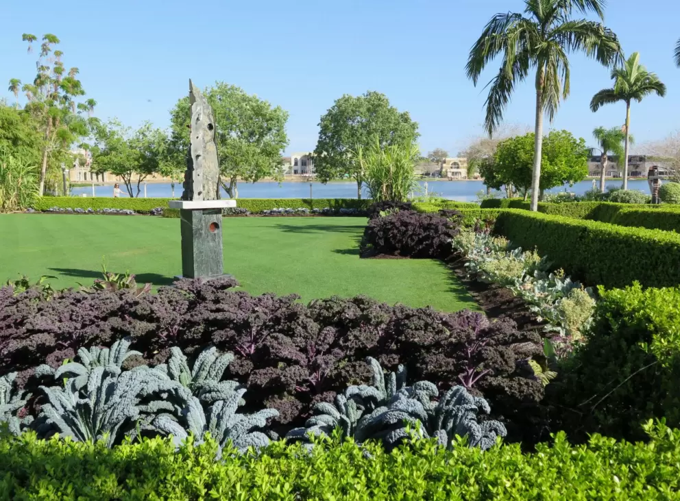 Kale, and the lake behind.