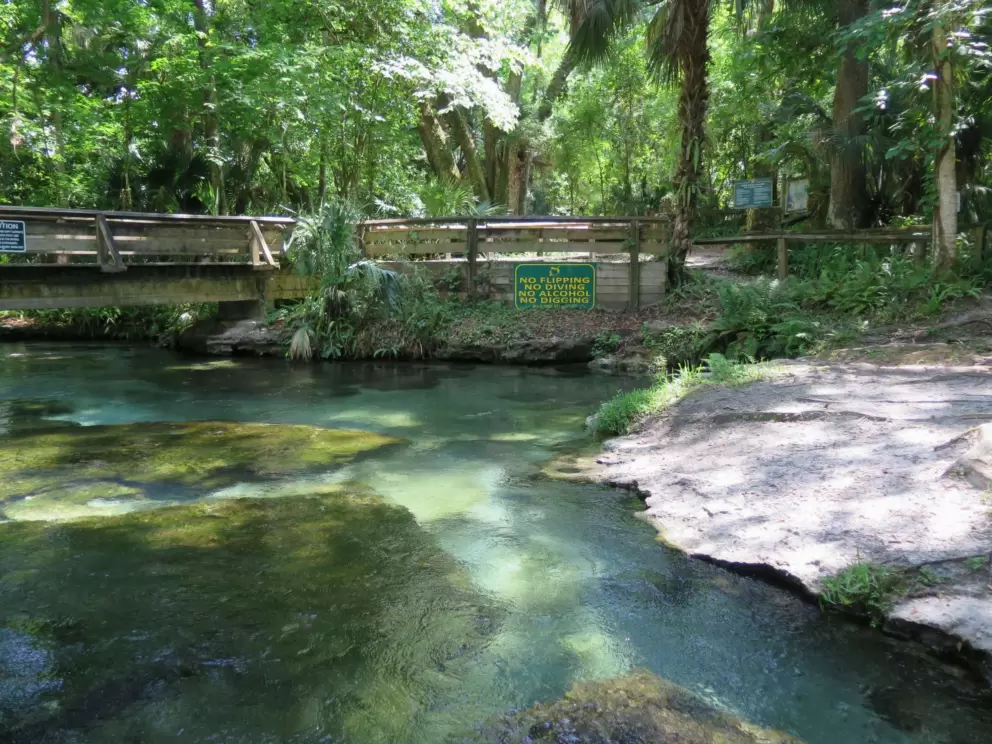 Bridge at the head spring.