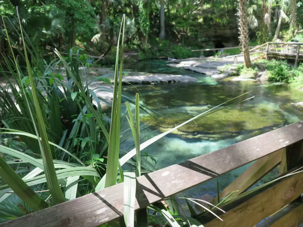 Beautiful water.