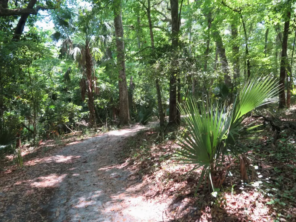 Sandy trail.