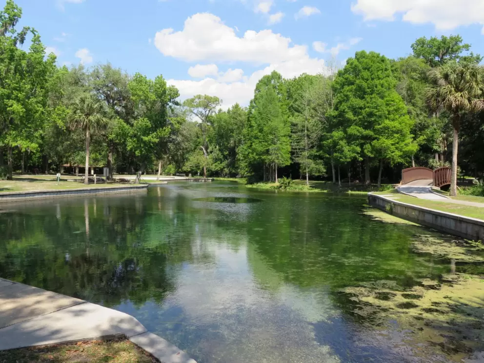 The main pool.