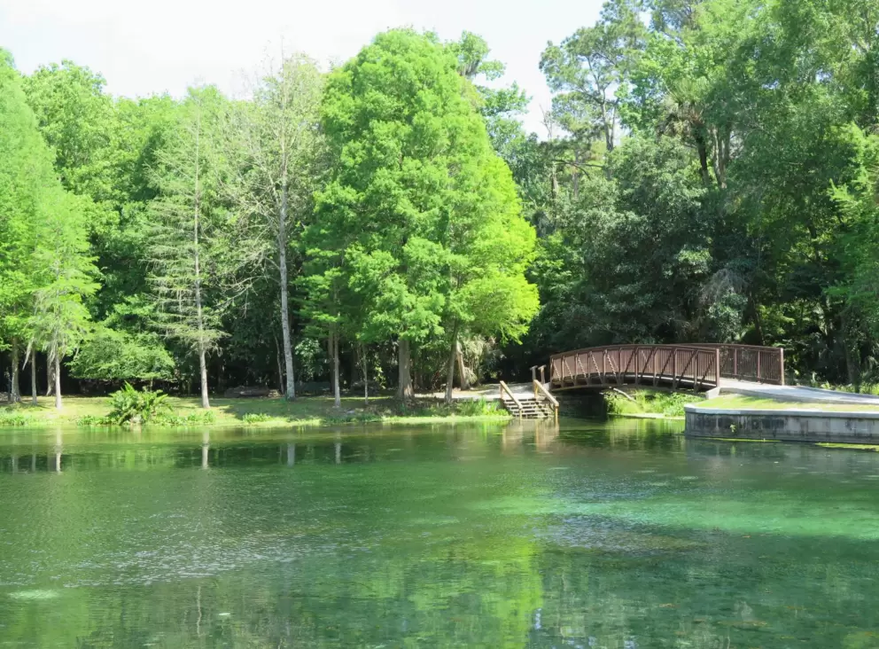 Spring trees and the main pool.
