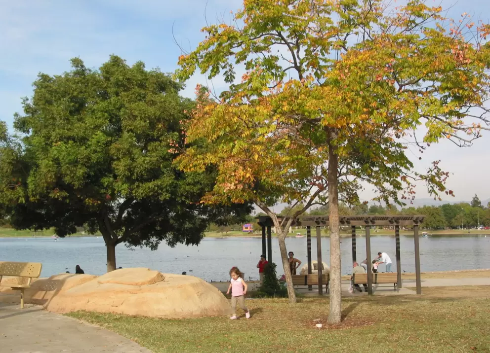 A toddler runs amongst Fall trees at Lake Balboa Park. 