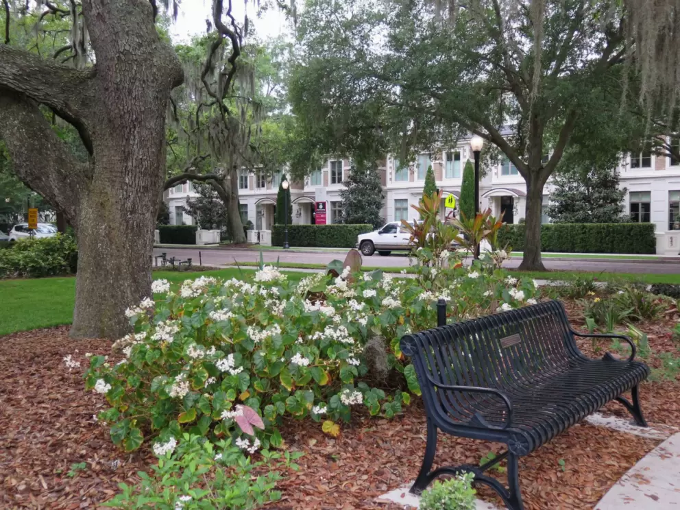 Bench near the Park Ave entrance to Casa Feliz.