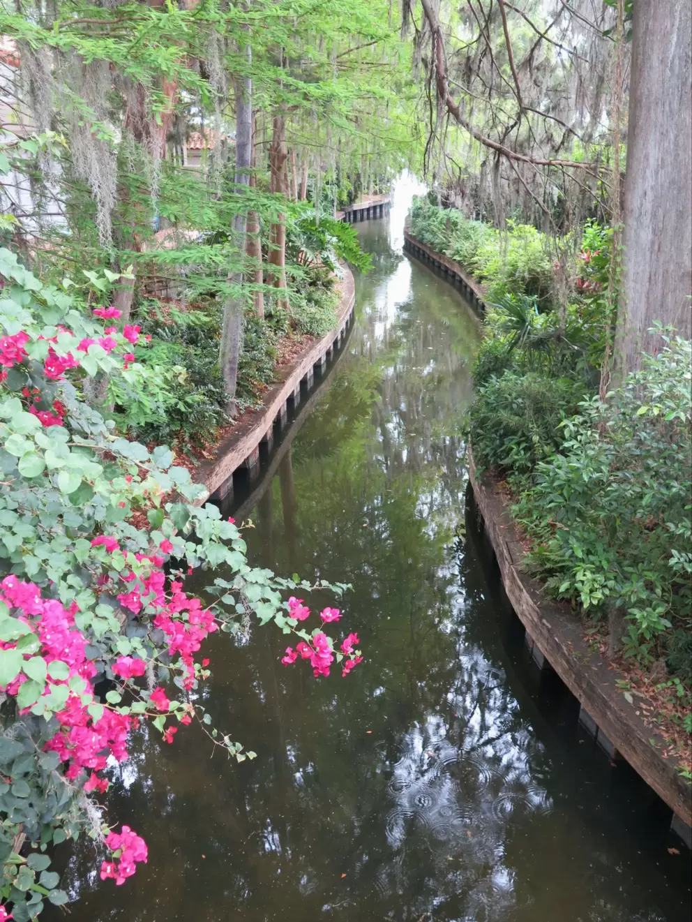 Canal view from Palmer Ave near Alabama Dr.