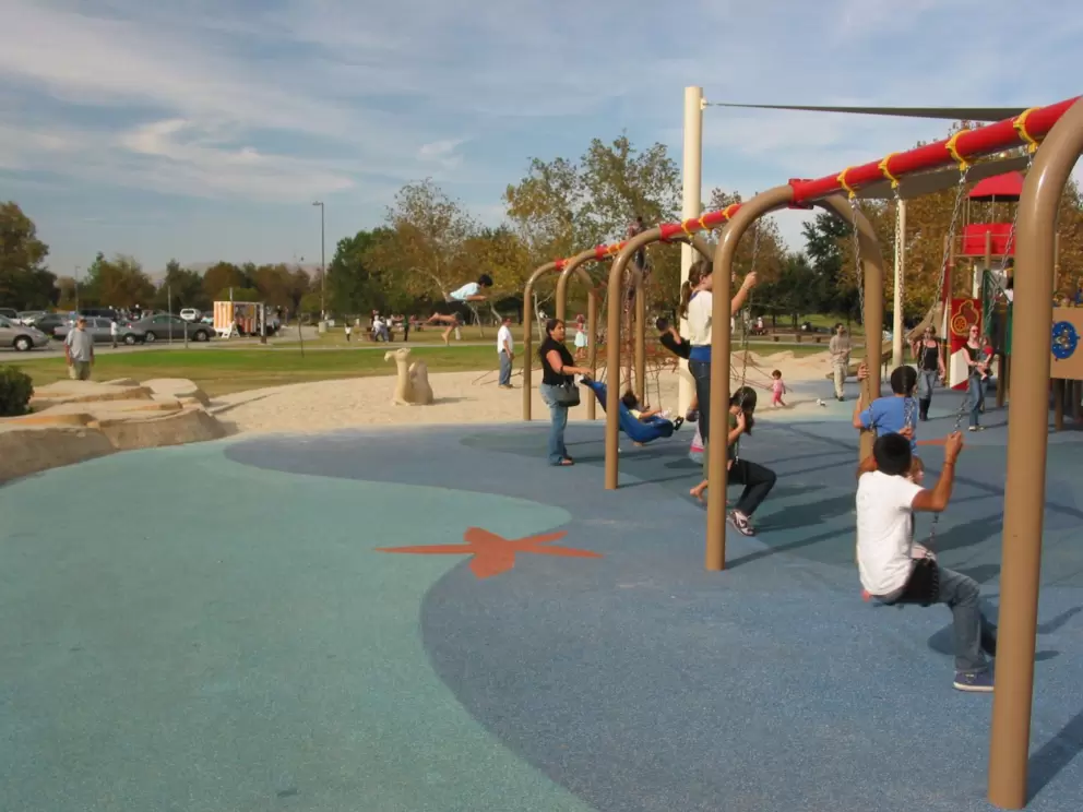 All kinds of different swings including Zero-G swings with buckles. 
