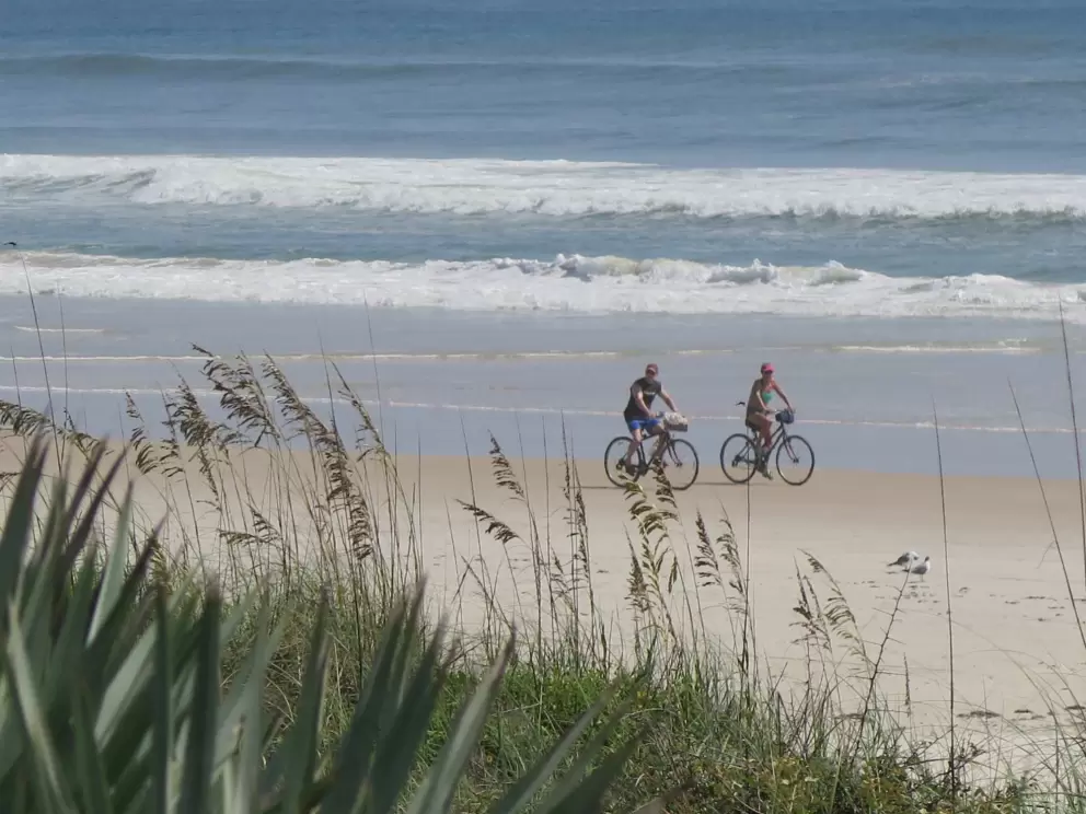 Bike riders on the shore, and sea oats.