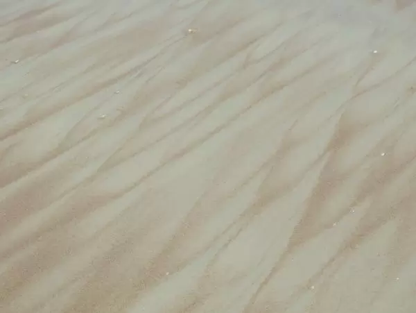 Cool pattern in the sand at the shore.