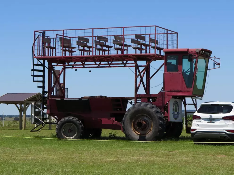 Sometimes you can go for a ride on a buggy.
