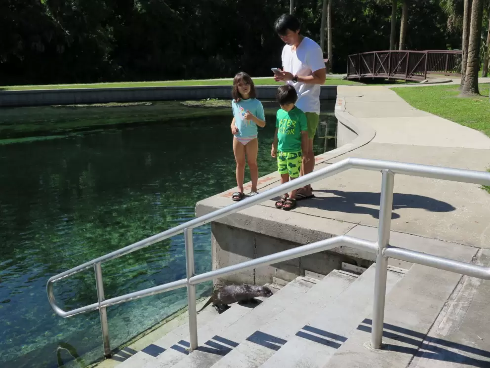 A family watches as a sea otter climbs up the stairs.