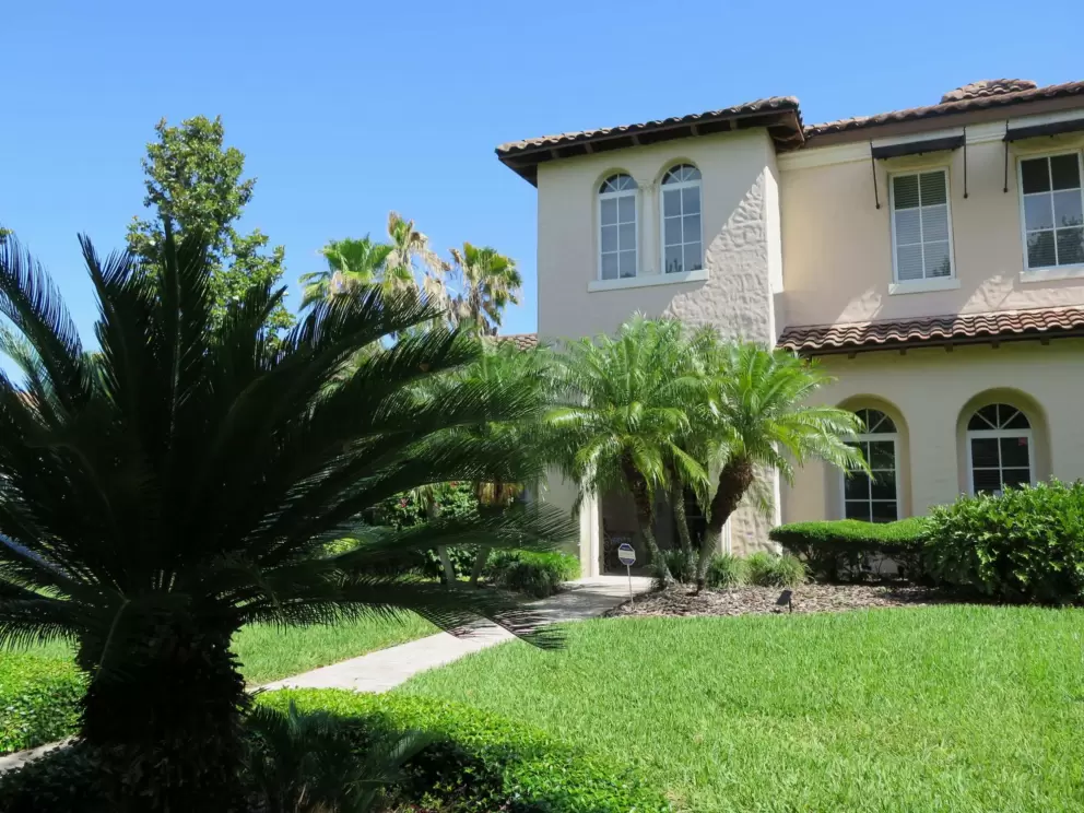 Mediterranean house and fat tropical tree.