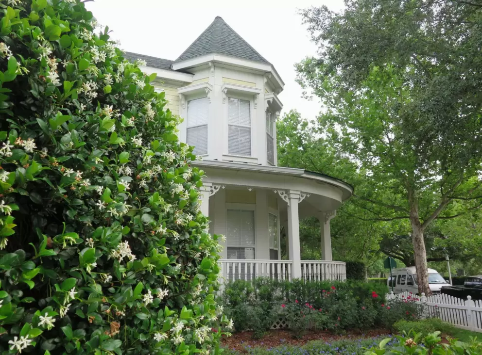 Jasmine outside a house.