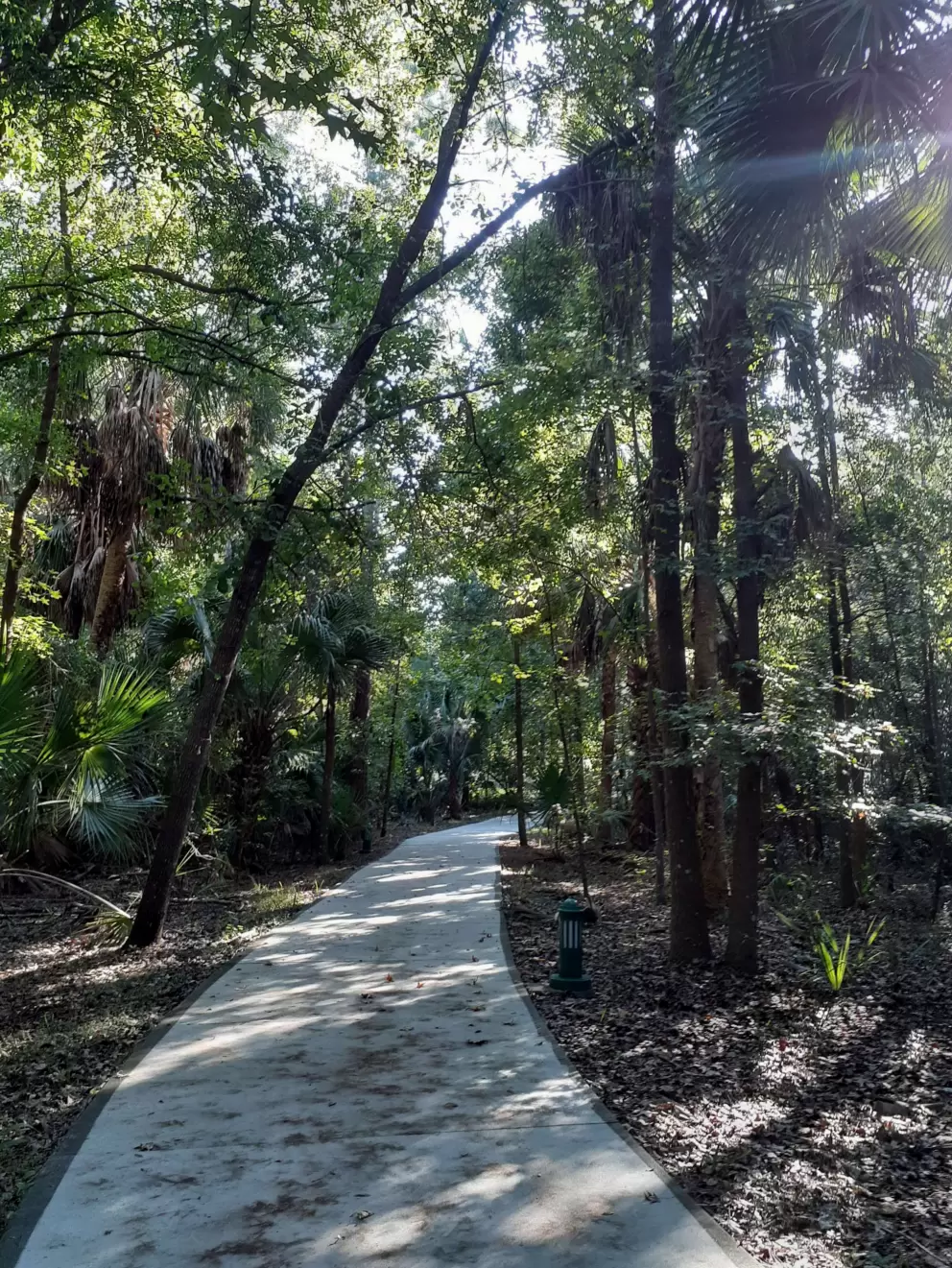 The forest near the Catholic church, where you often see deer. 