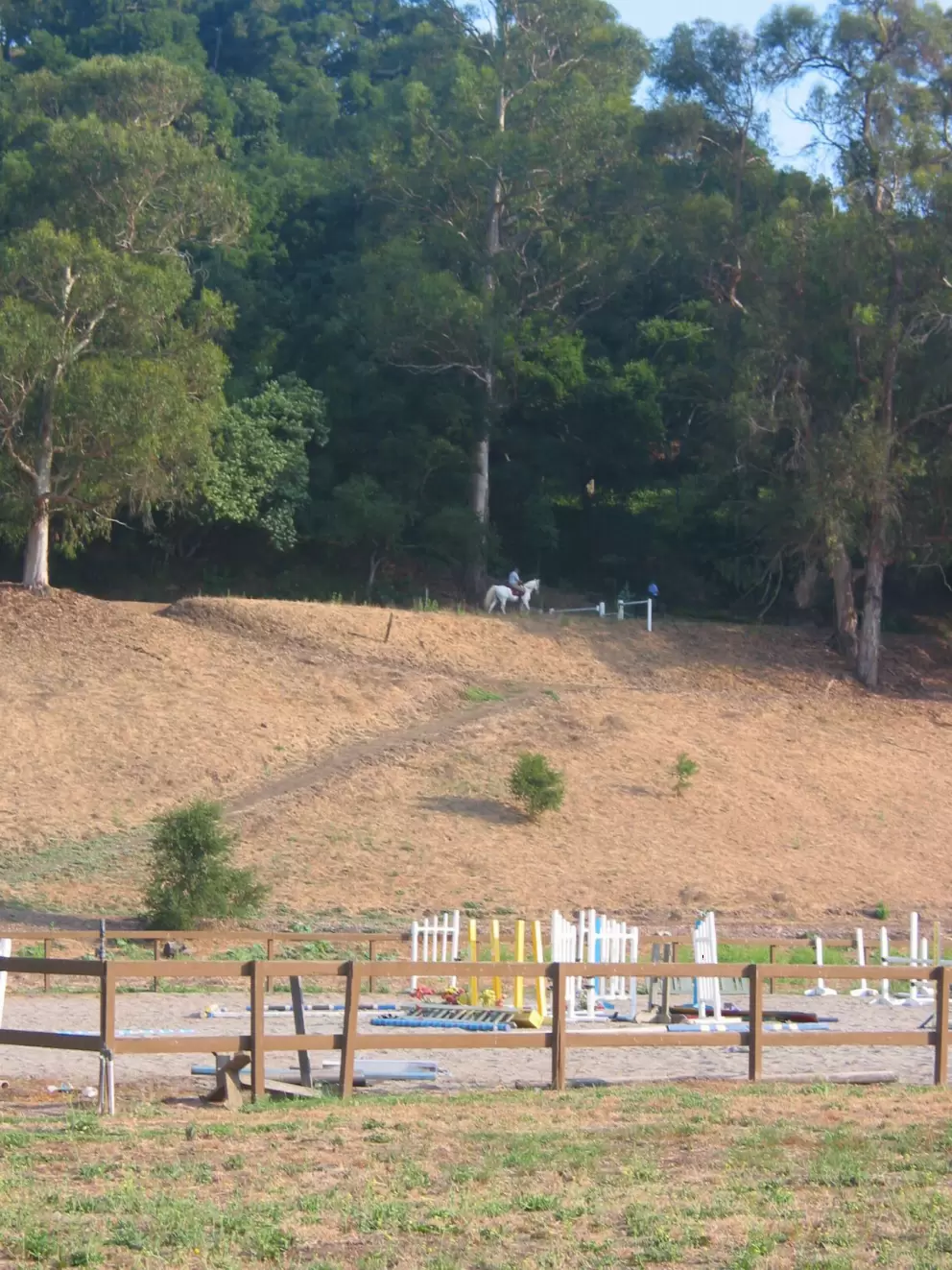 From the Modoc Rd end of the bike path, you can see horses trotting along the equestrian paths that wind around Hope Ranch.