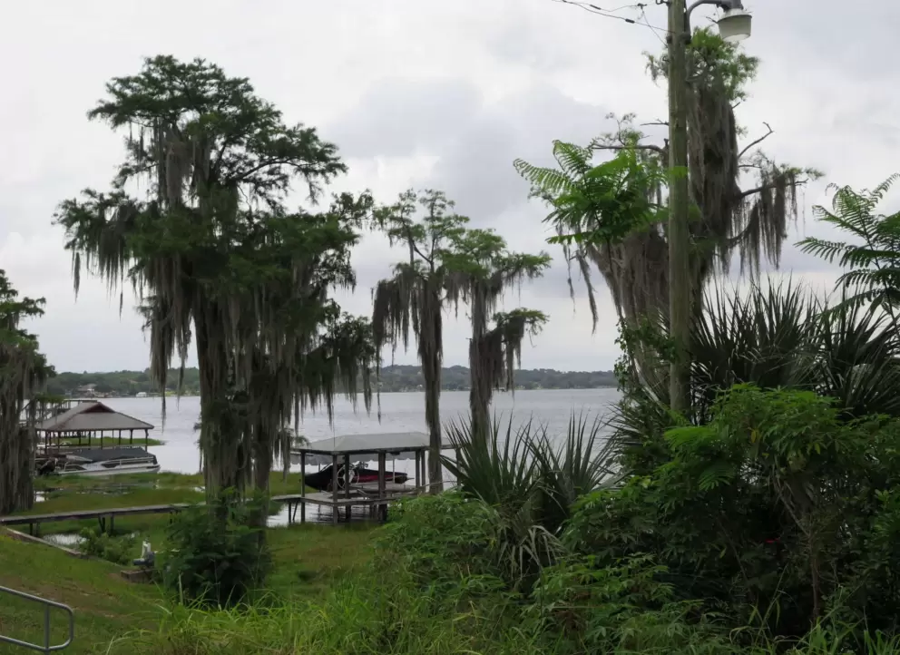 Spanish moss creates lots of atmosphere.