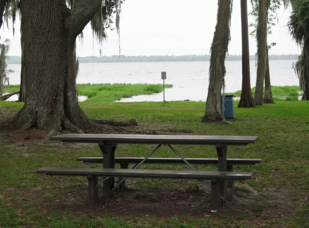A picnic table at shore's edge.