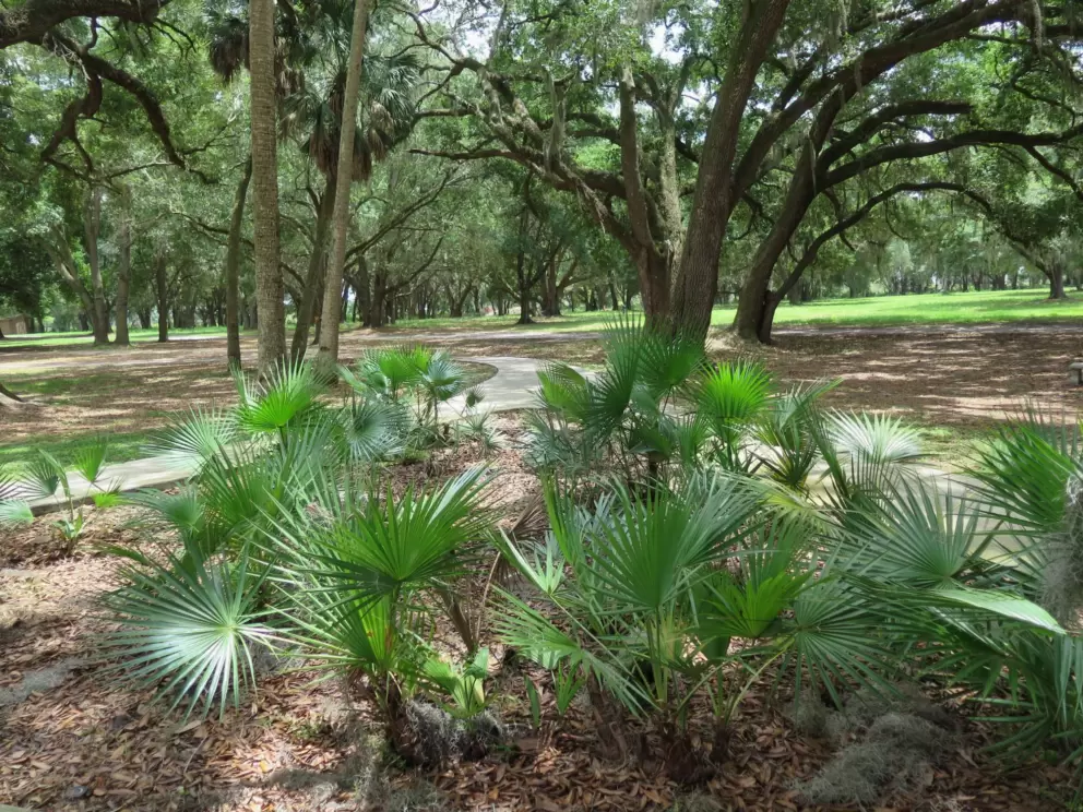 Pretty views abound.