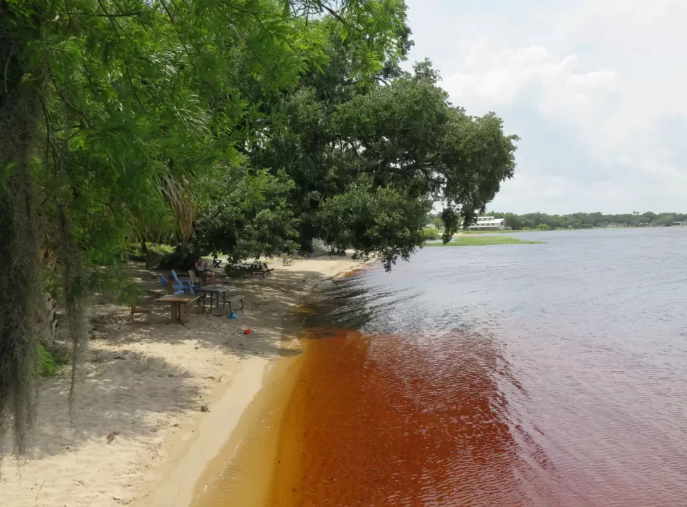 The water is brown.