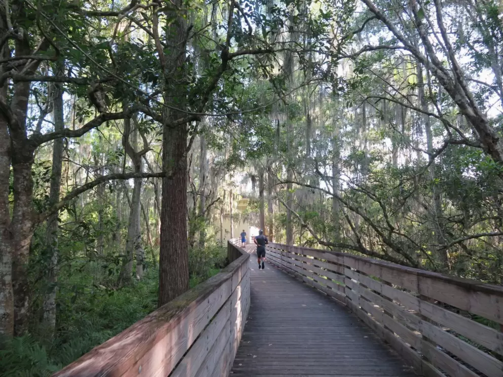 Boardwalk to the beach.