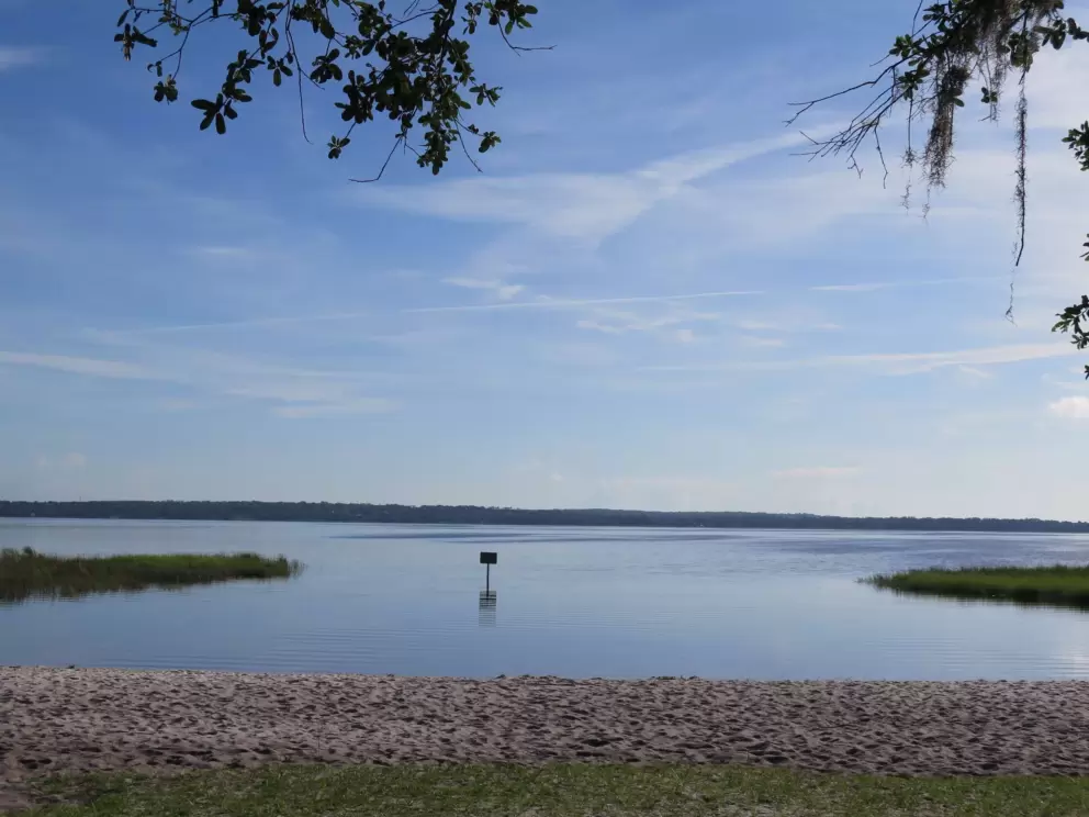 Beach on Lake Louisa.